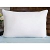 Plain Pillow